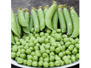 Early Onward Peas (1/2 pint)
